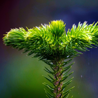 Design sans titre-368